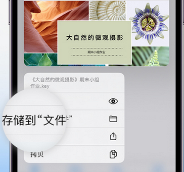 舞钢apple维修中心分享iPhone文件应用中存储和找到下载文件