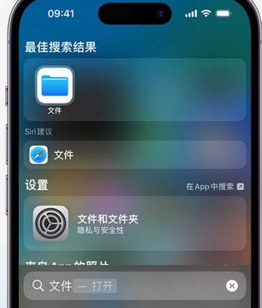 舞钢apple维修中心分享iPhone文件应用中存储和找到下载文件 