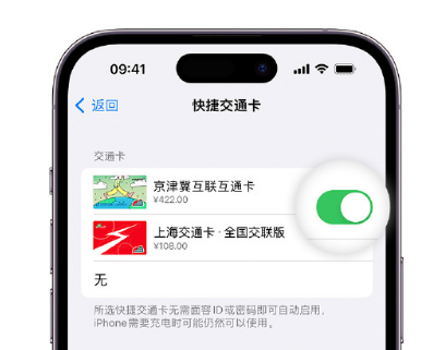 舞钢apple维修点分享iPhone上更换Apple Pay快捷交通卡手绘卡面 