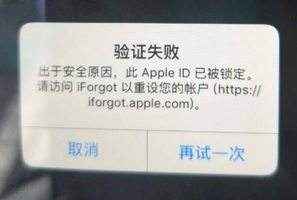 舞钢iPhone维修分享iPhone上正常登录或使用AppleID怎么办 