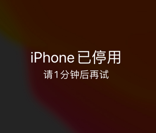 舞钢苹果手机维修分享:iPhone 显示“不可用”或“已停用”怎么办？还能保留数据吗？ 