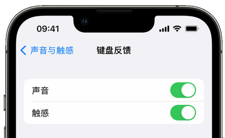 舞钢苹果手机维修分享iPhone 14触感键盘使用方法 