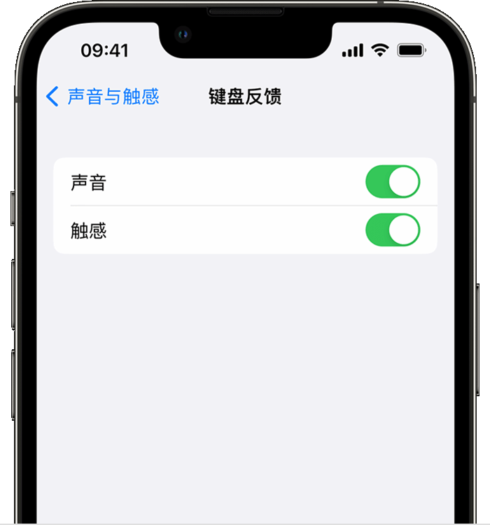 舞钢苹果14维修店分享如何在 iPhone 14 机型中使用触感键盘 