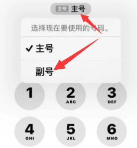 舞钢苹果14维修店分享iPhone 14 Pro Max使用副卡打电话的方法 