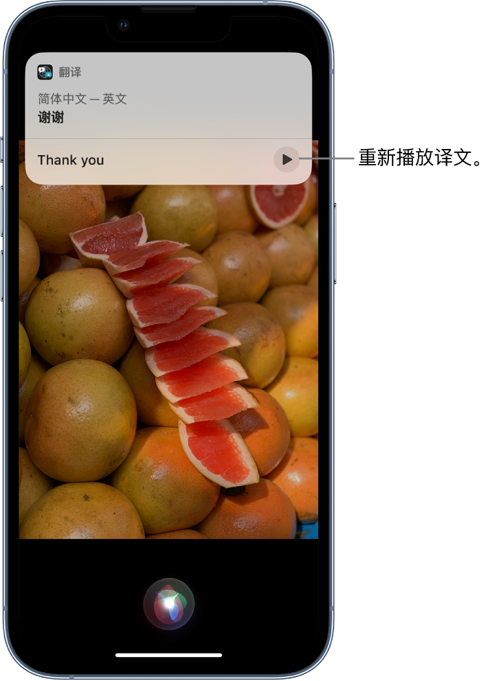 舞钢苹果14维修分享 iPhone 14 机型中使用 Siri：了解 Siri 能帮你做什么 