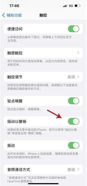 舞钢苹果手机维修分享iPhone手机如何设置摇一摇删除文字 