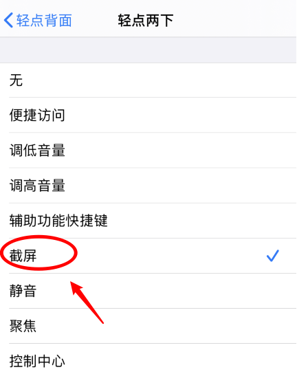 舞钢苹果手机维修分享iPhone12如何启用双击截屏 